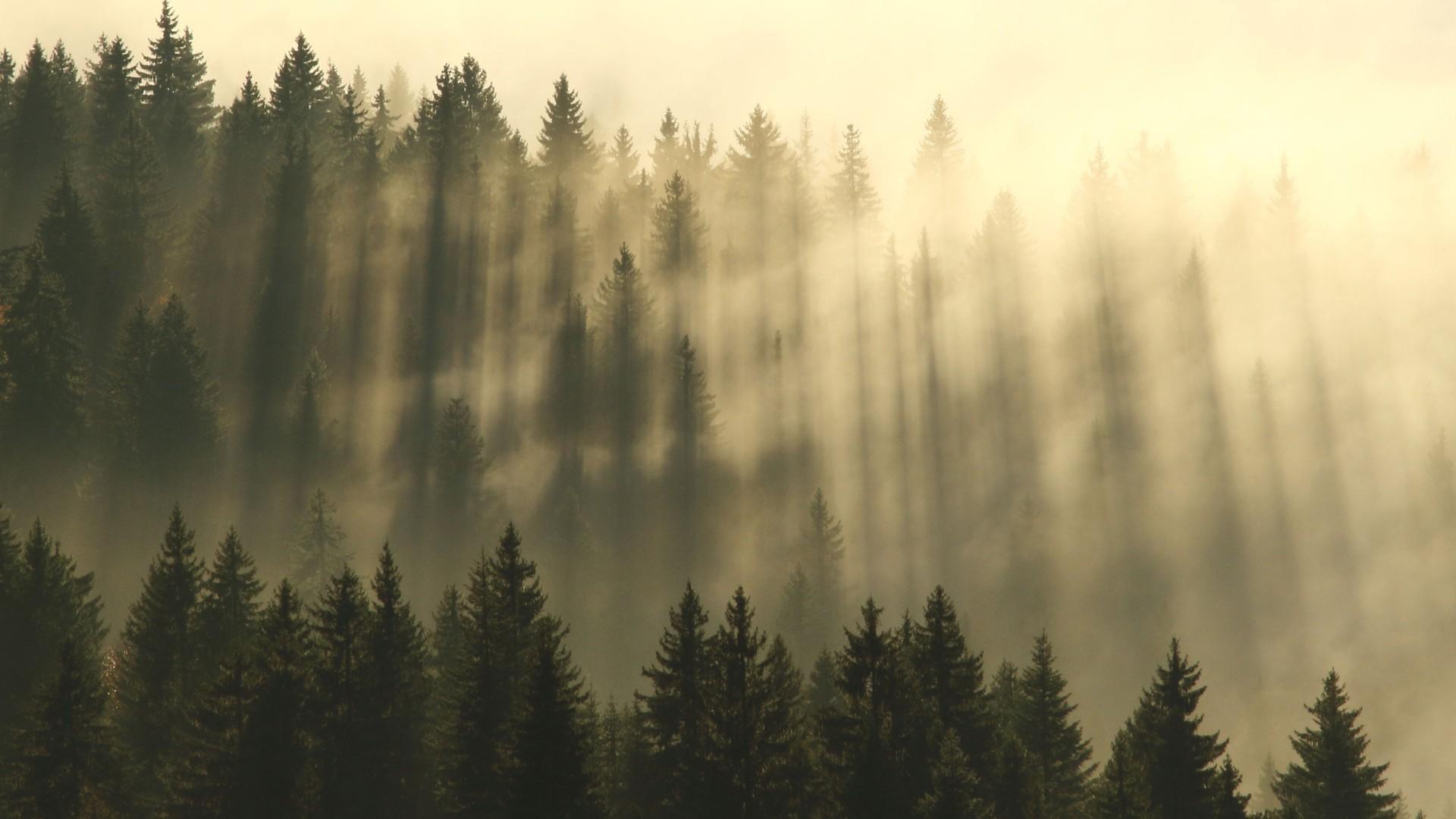 Application web portfolio